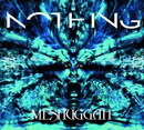 Nothing (Re-Release & Bonus DVD)