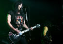 W.A.S.P. 