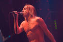 Iggy Pop 