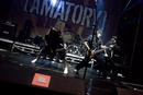 Amatory 