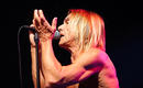 Iggy and the Stooges 