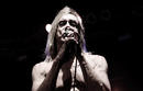 Iggy and the Stooges 