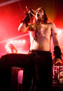 Finntroll 