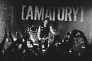 Amatory 