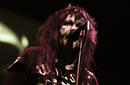 W.A.S.P. 